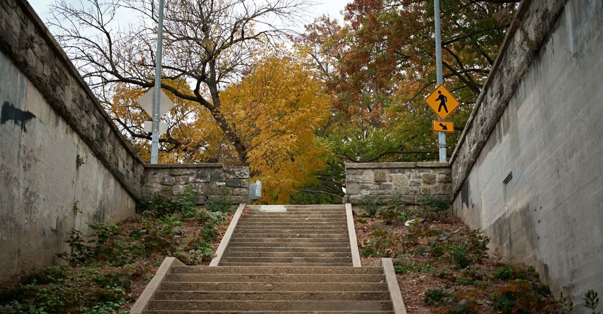 A rustic staircase outdoors with vibrant autumn trees in the background.